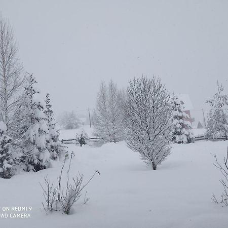 Sunnyside Villa Žabljak Dış mekan fotoğraf